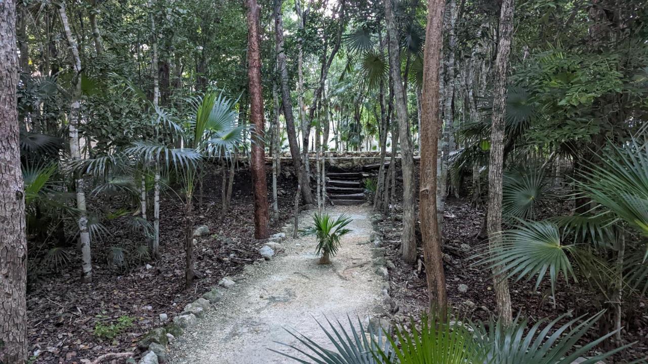 Exclusive Penthouse By Famous Interior Designer By Yeah Tulum Exterior foto